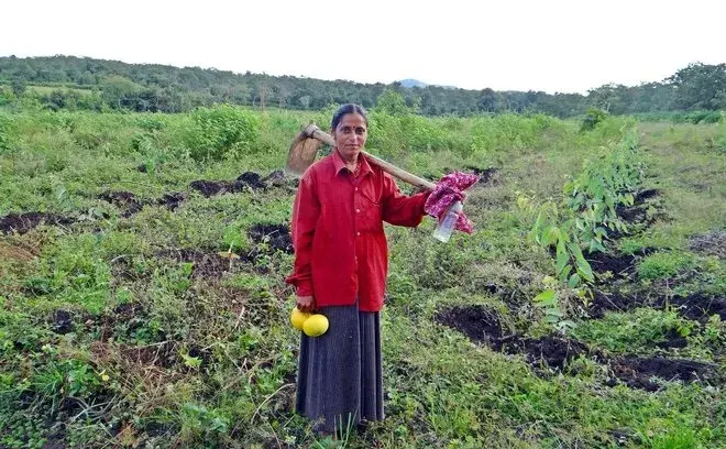 660_408_farmer_or_agriculture_1.jpg