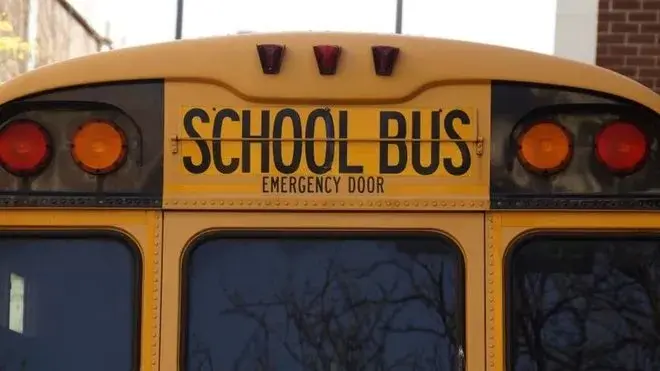 660_early_childhood_education_pexels.jpg