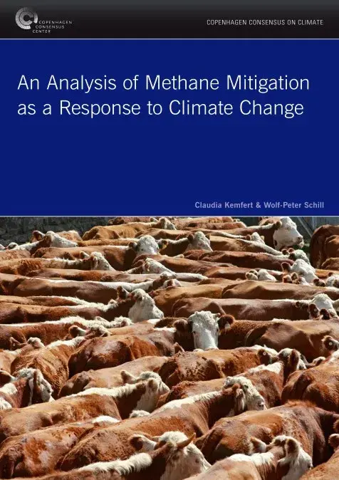 ap_methane_kemfert_schill_v.5.0_001.jpg